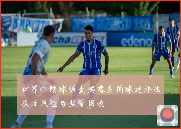 世界杯赌球调查揭露多国球迷非法投注风险与监管困境