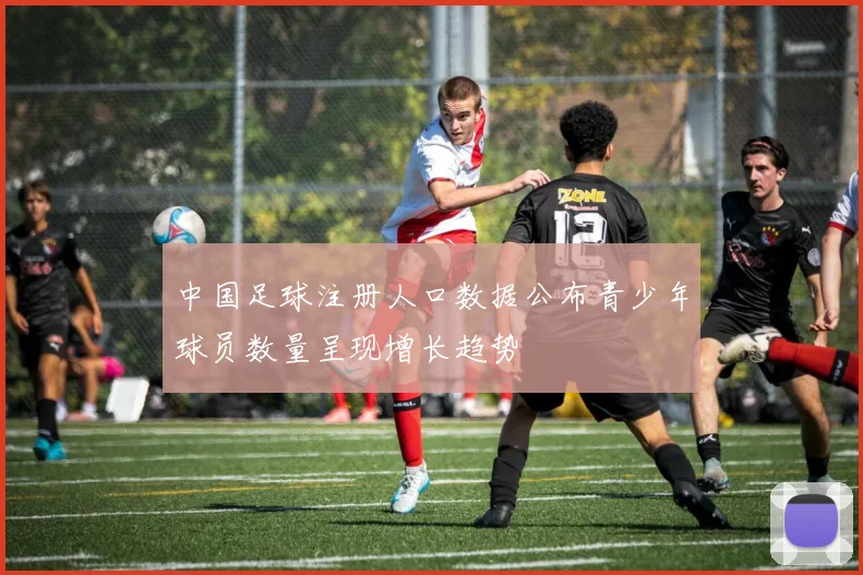 中国足球注册人口数据公布青少年球员数量呈现增长趋势