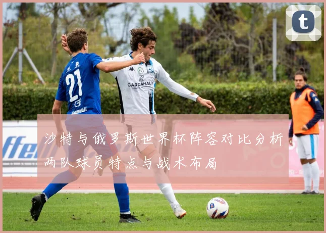 沙特与俄罗斯世界杯阵容对比分析两队球员特点与战术布局