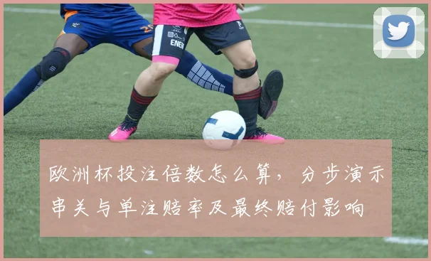 欧洲杯投注倍数怎么算，分步演示串关与单注赔率及最终赔付影响