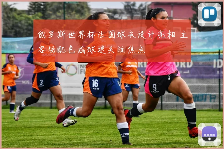 俄罗斯世界杯法国球衣设计亮相 主客场配色成球迷关注焦点